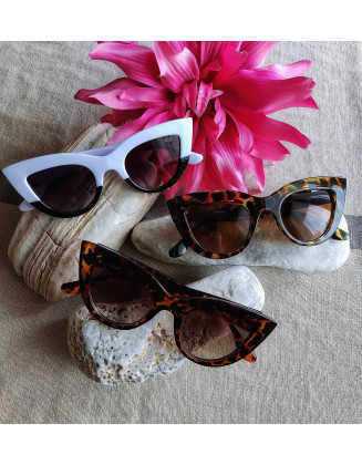 Eden by Cardi eyewear (tartarouga)